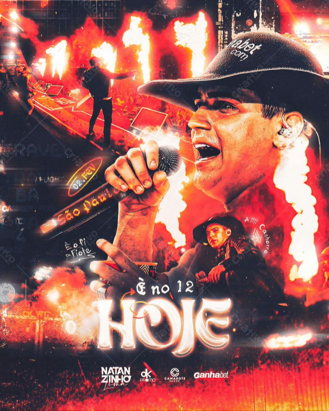 Flyer Show Natan Zinho PSD Editável