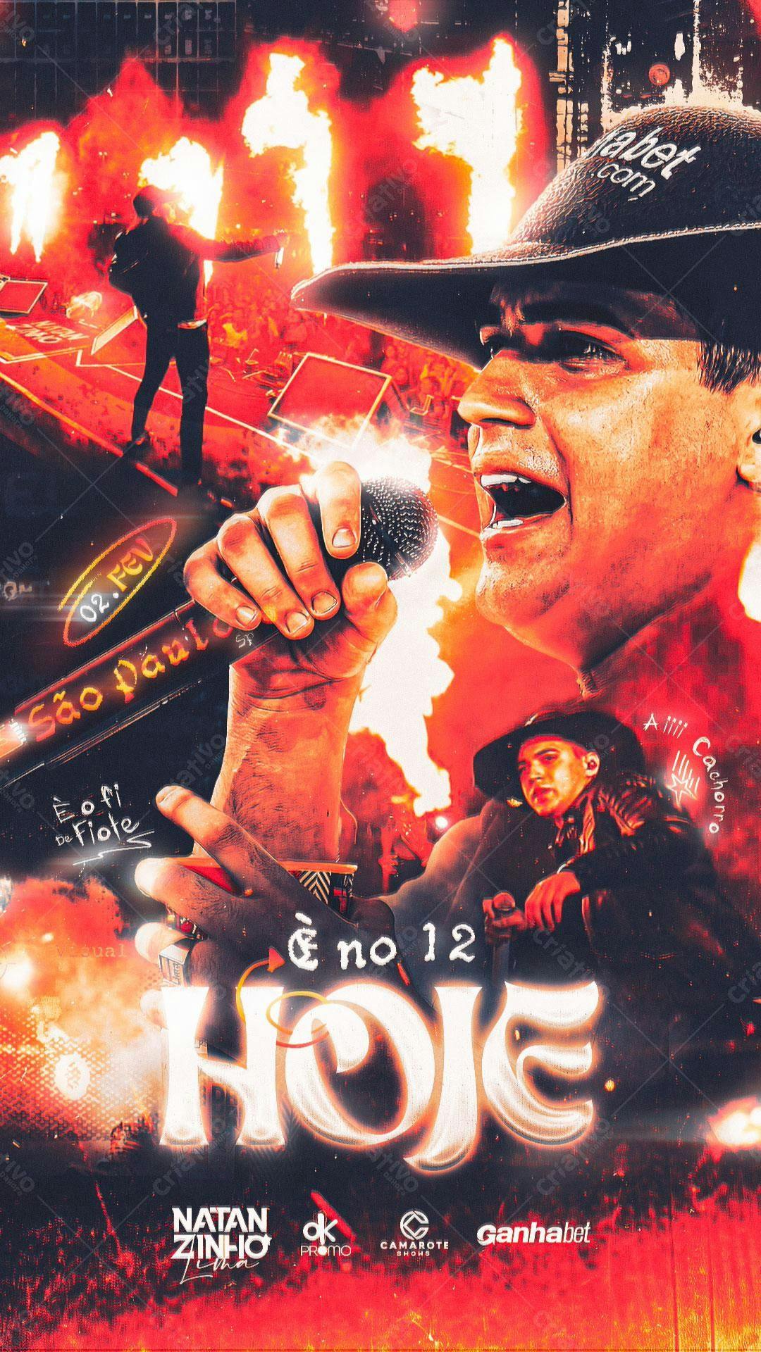 Flyer Show Natan Zinho PSD Editável
