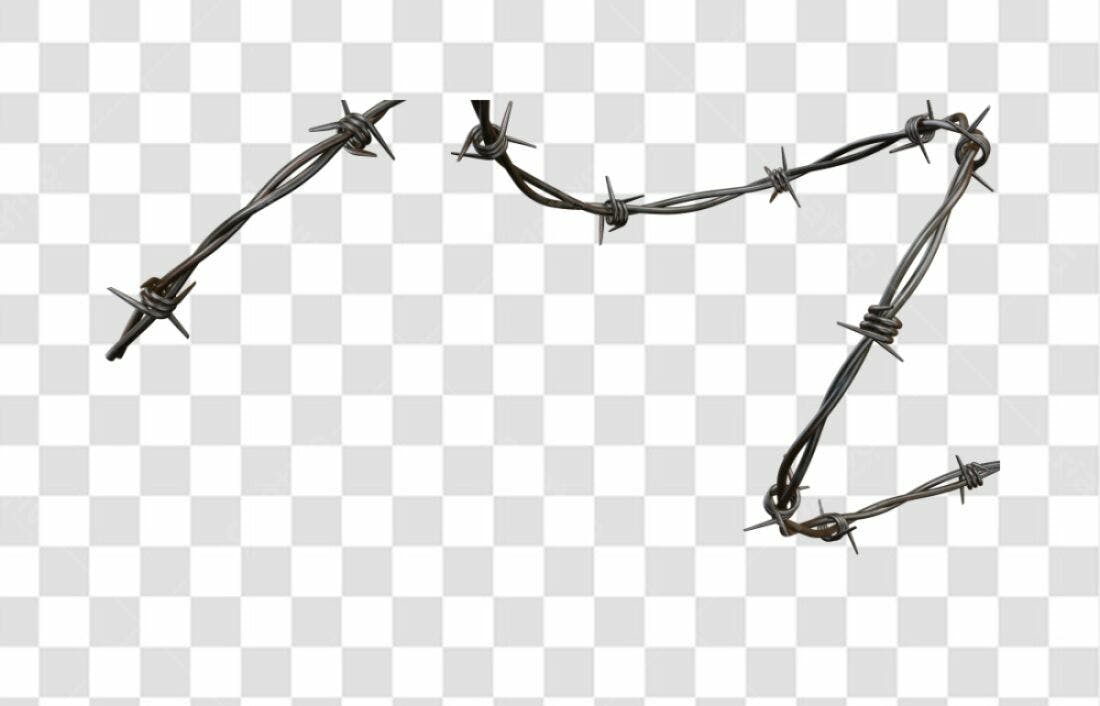 Icone Arame Farpado PNG com fundo transparente