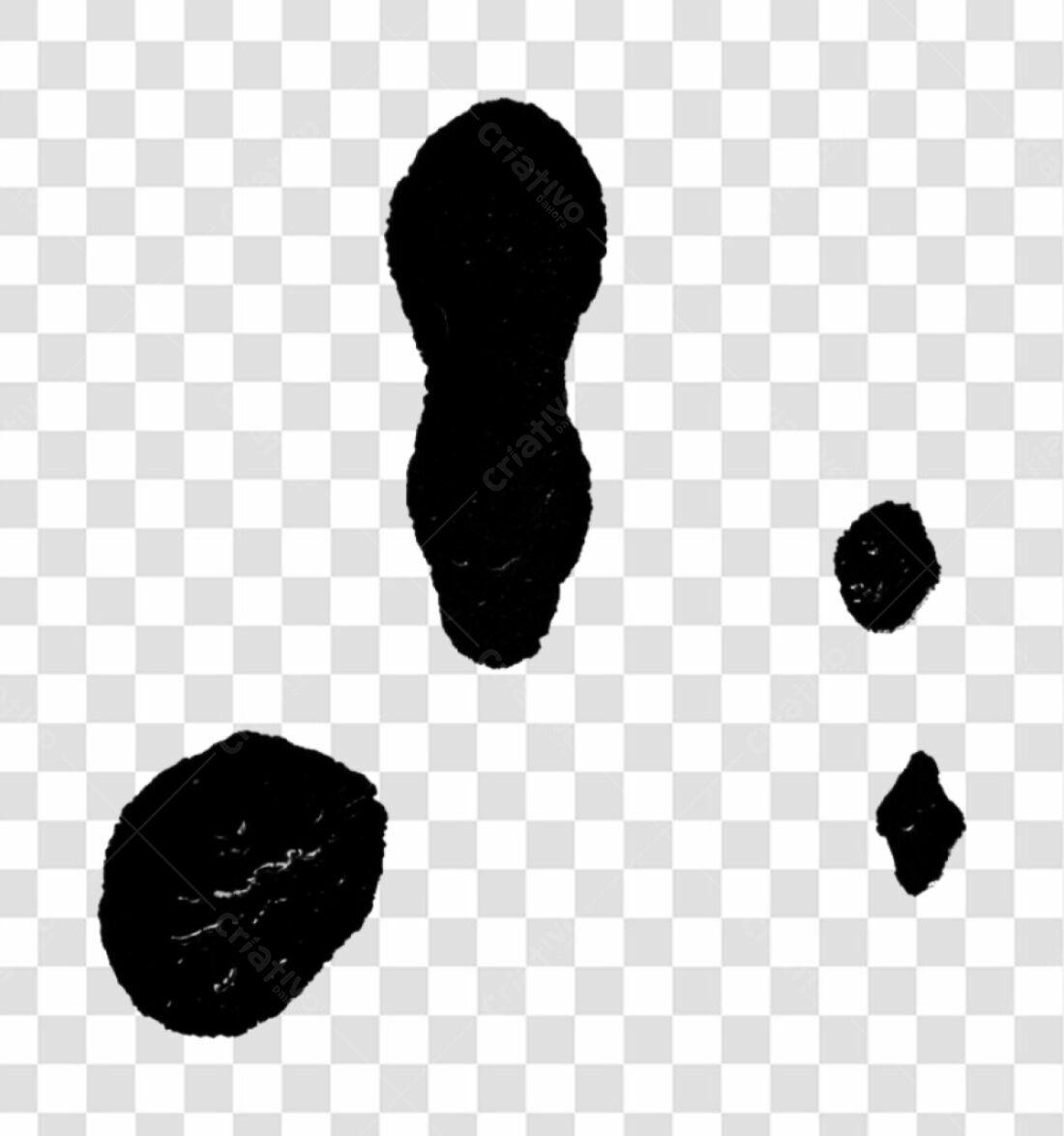 Icones de Pés PNG com fundo transparente