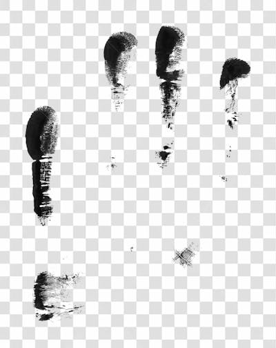 Fingerprint Textures High Resolution Design Asset