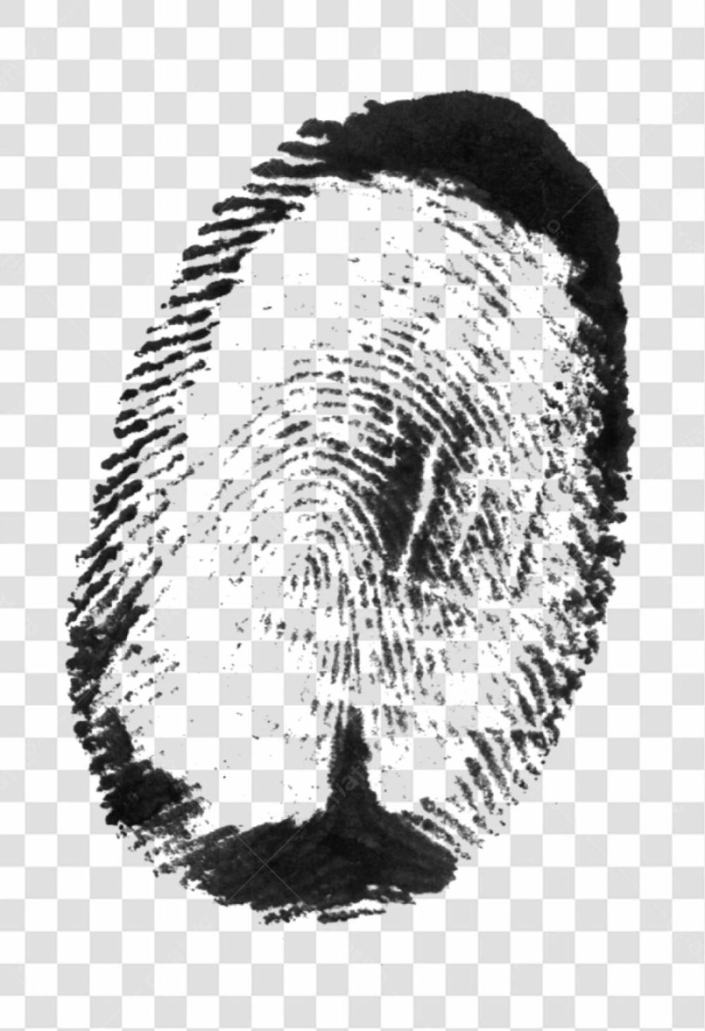 Fingerprint Textures High Resolution Design Asset