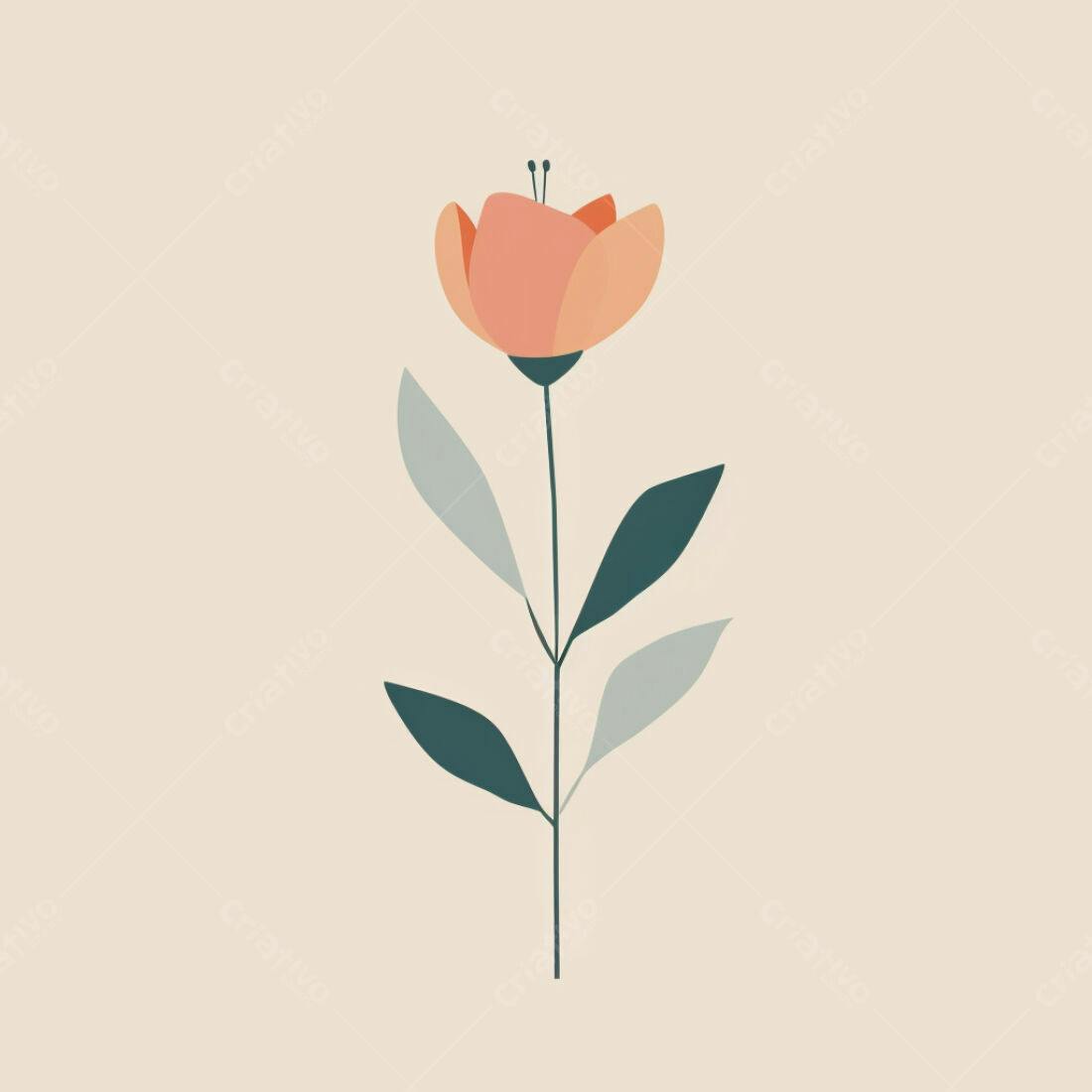 Textura Floral Pêssego para Fundo