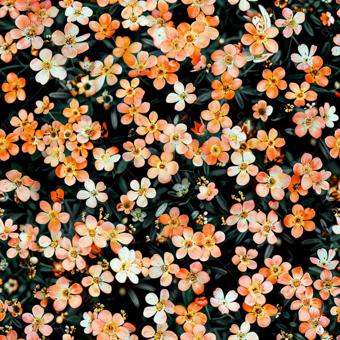 Textura Flores Laranjas para Fundo
