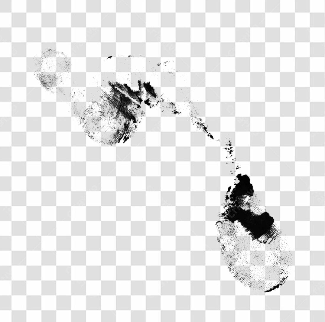 PNG com fundo transparente Pegadas para Design