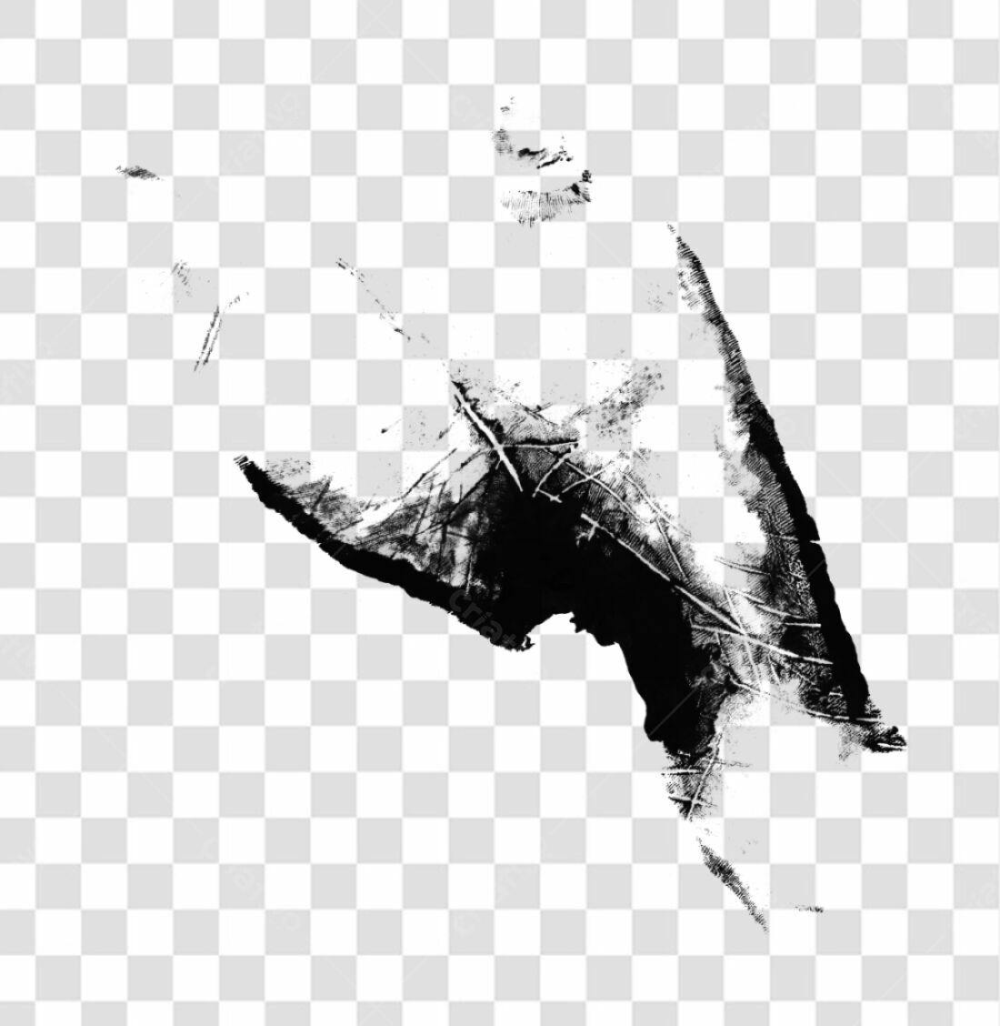 PNG Textura Abstrata em Preto e Branco com Fundo Transparente