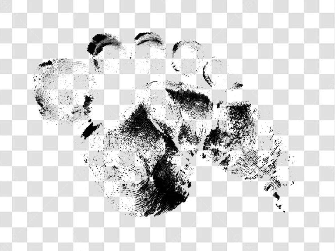 PNG Elementos gráficos abstratos com fundo transparente