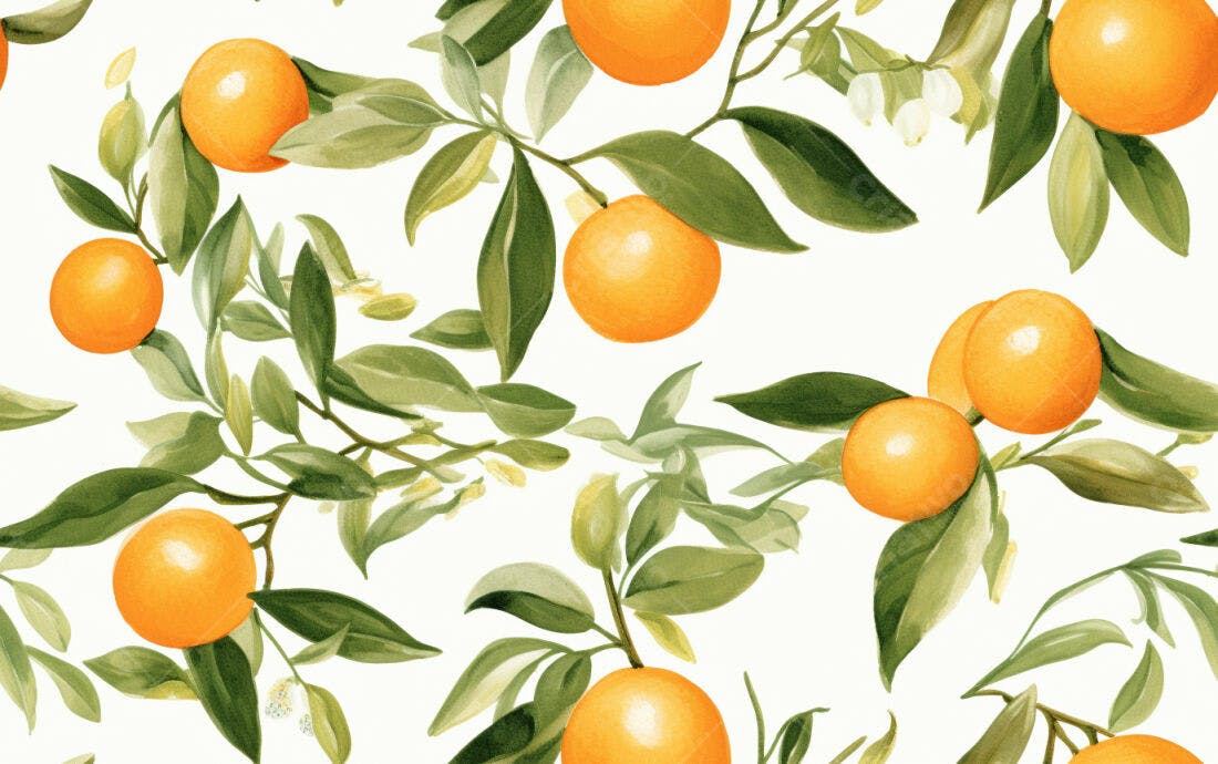 Textura Frutas Cítricas Laranjas para Papel de Parede