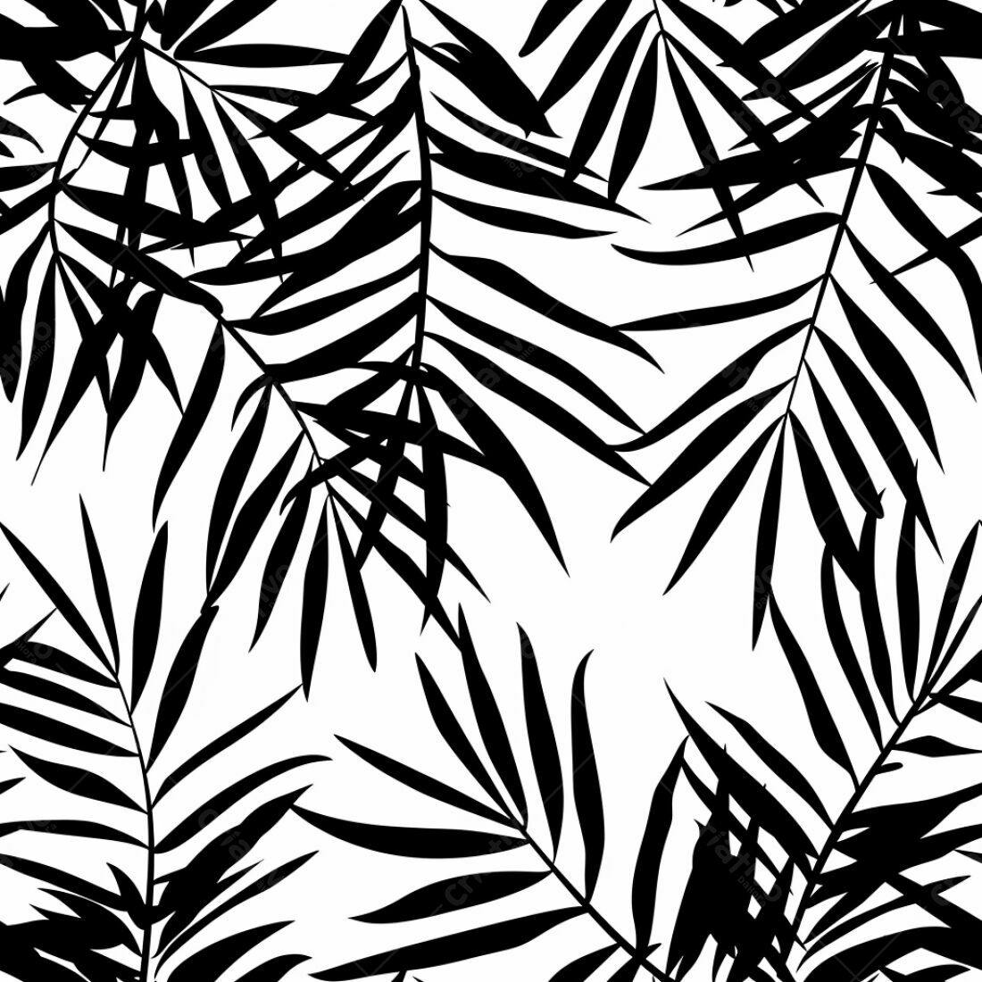 Textura Folhas Palma Preto e Branco para Fundo