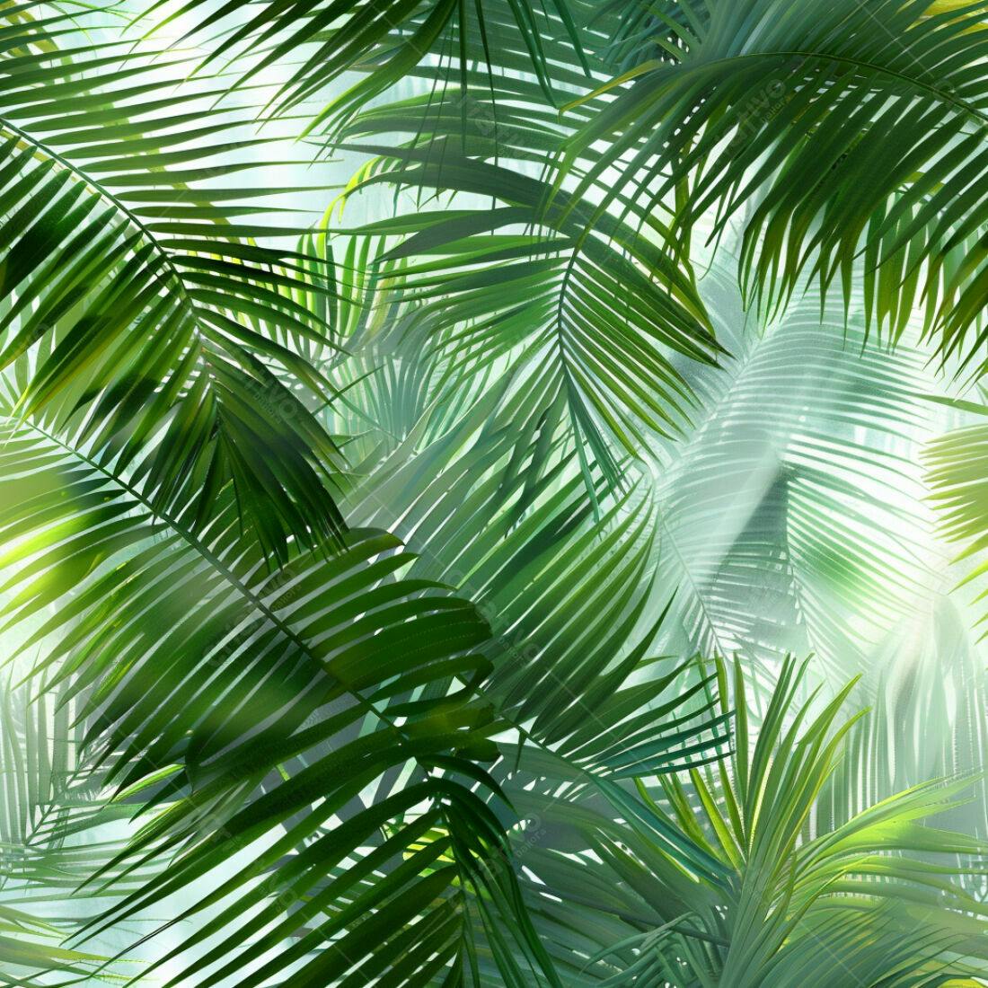 Textura Folhas de Palma Tropical para Fundo