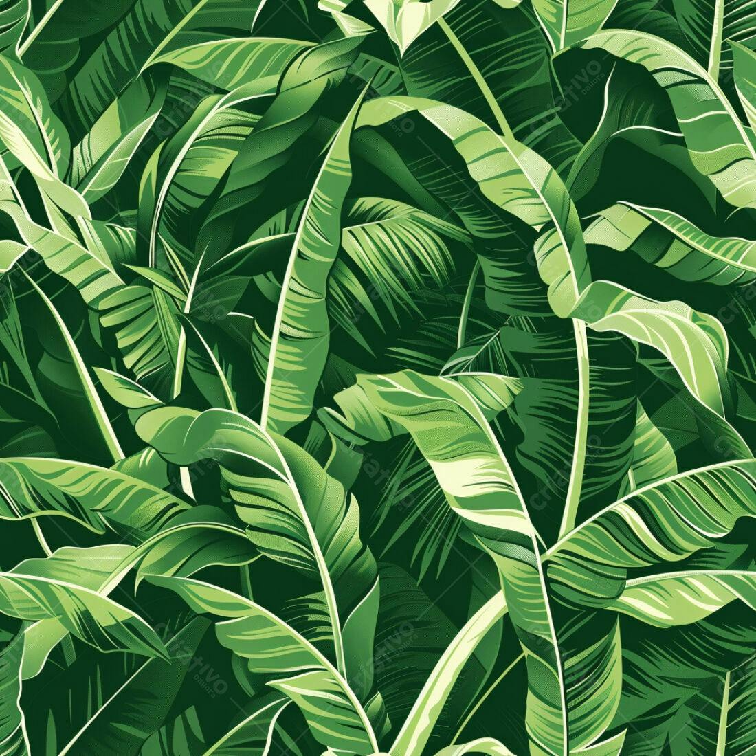 Textura Folhas de Banana Tropicais para Fundo