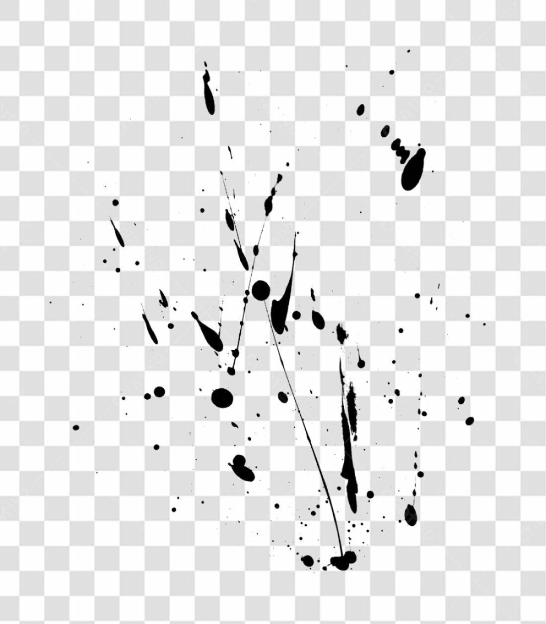 Elementos PNG com fundo transparente para design