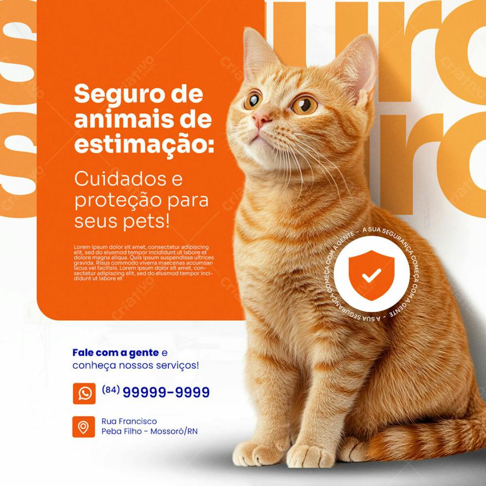 Seguradora Seguro Para Animais De Estimação