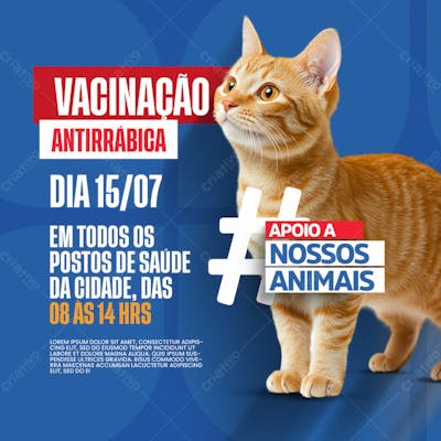 Prefeitura Vacinação Animal Para Seu Pet Saudavel