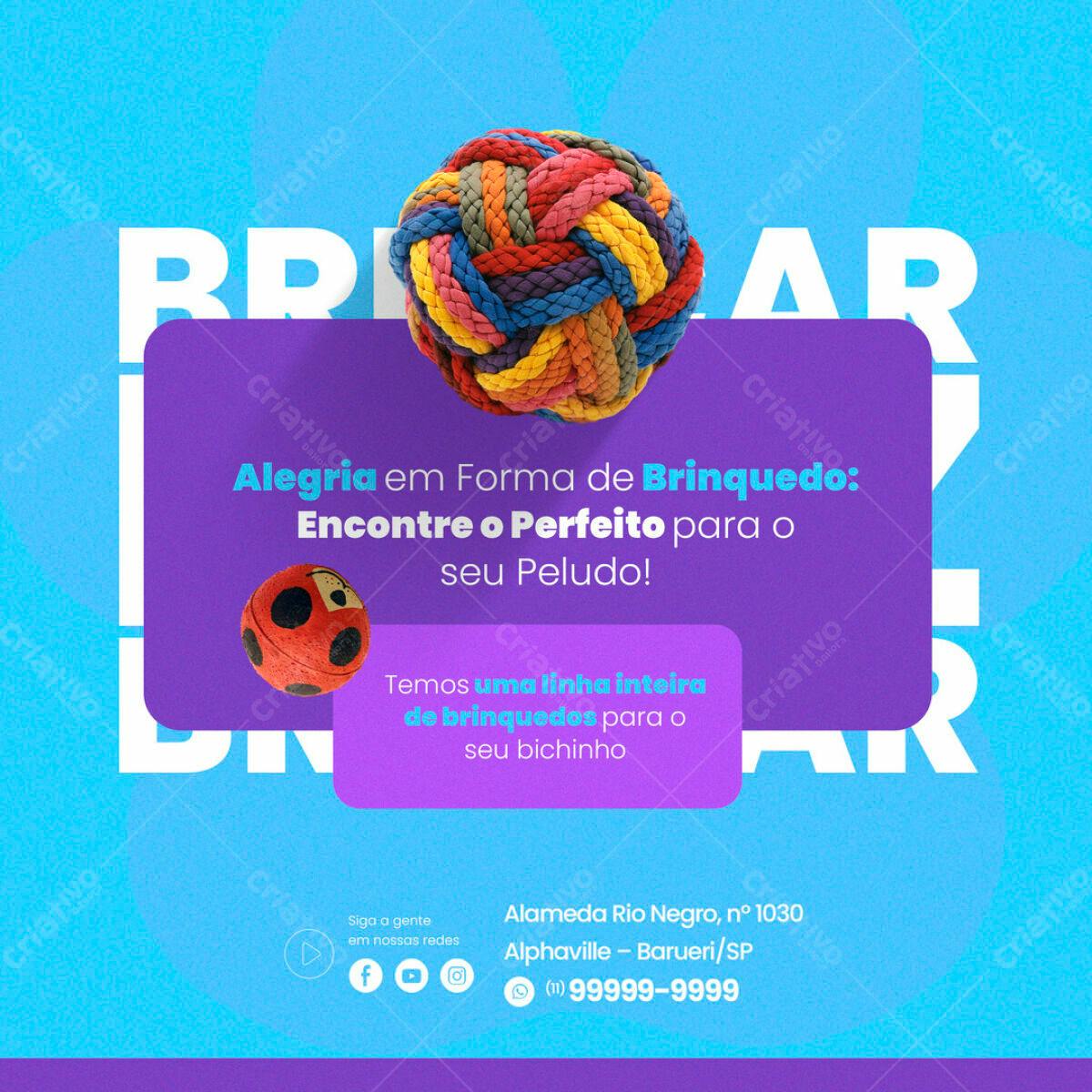 Post para Pet Shop PSD Editável