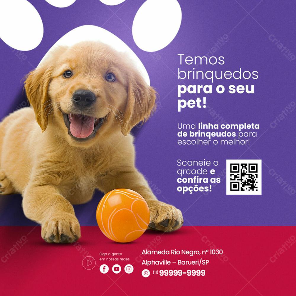 Pet Shop Brinquedos Para Pet