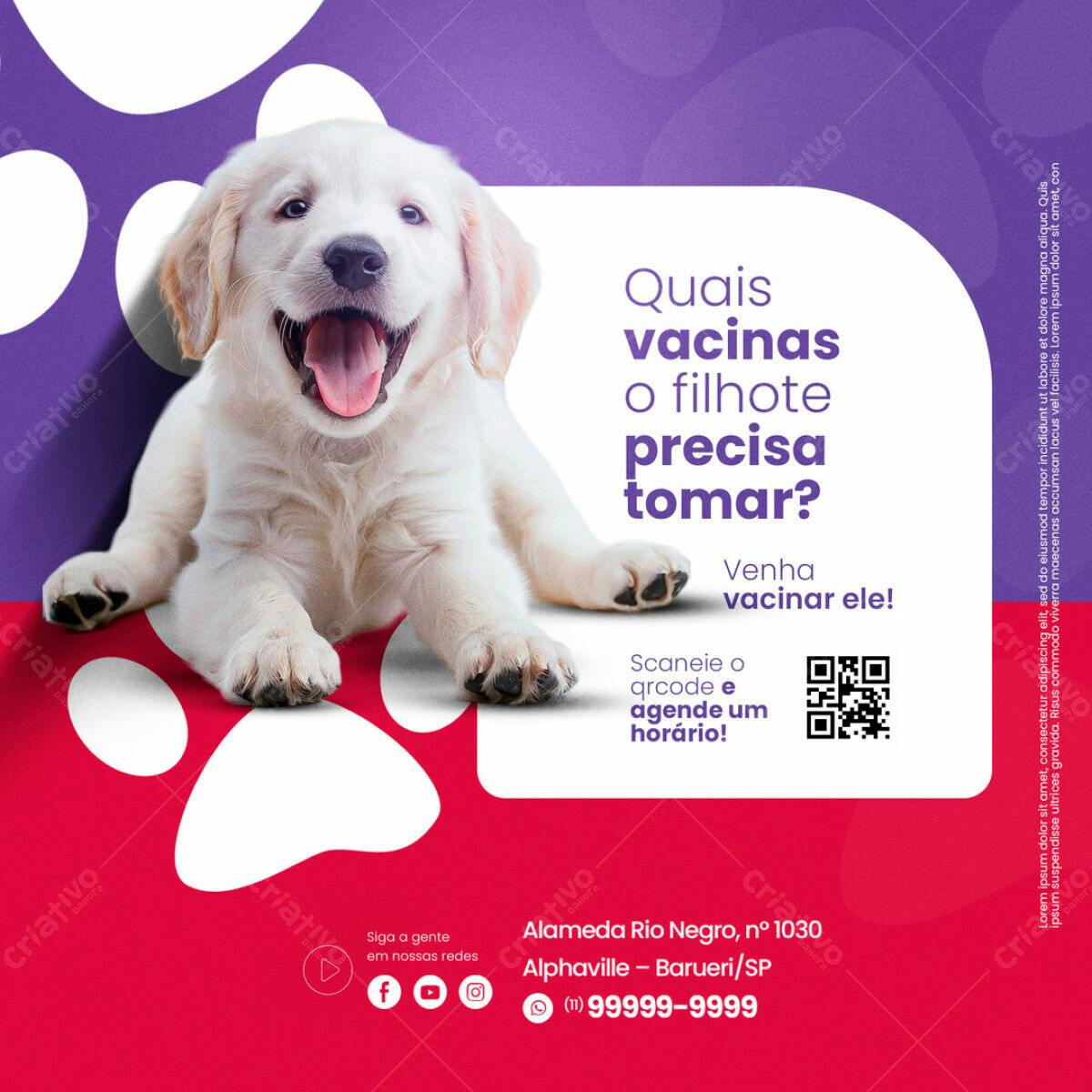 Flyer Vacinação Pet PSD Editável