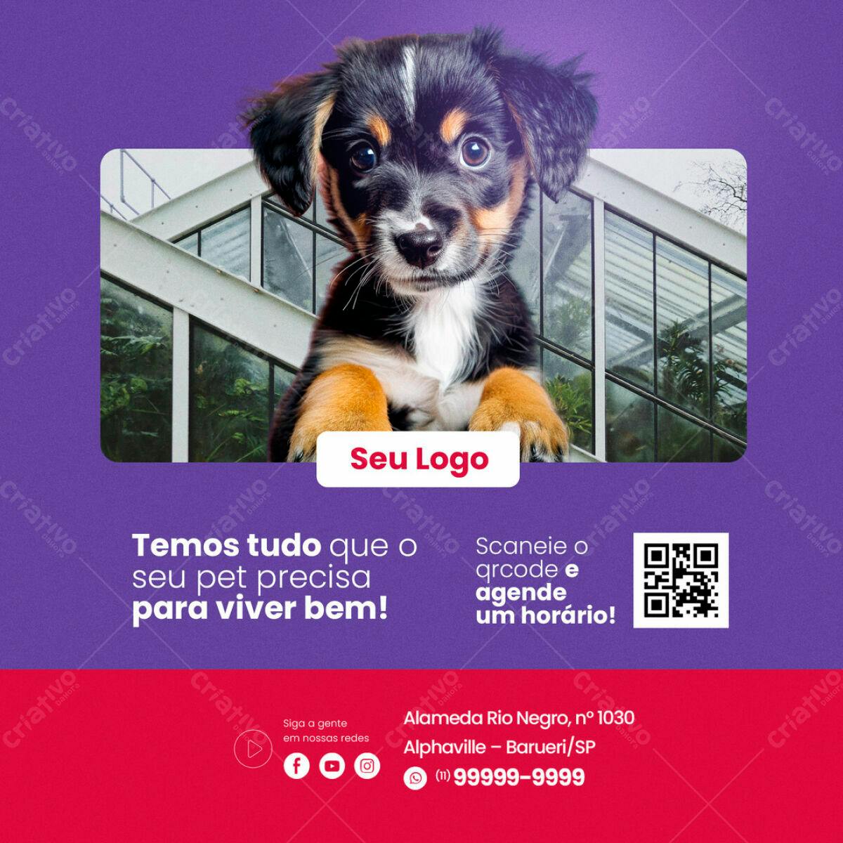 Post para PetShop PSD Editável