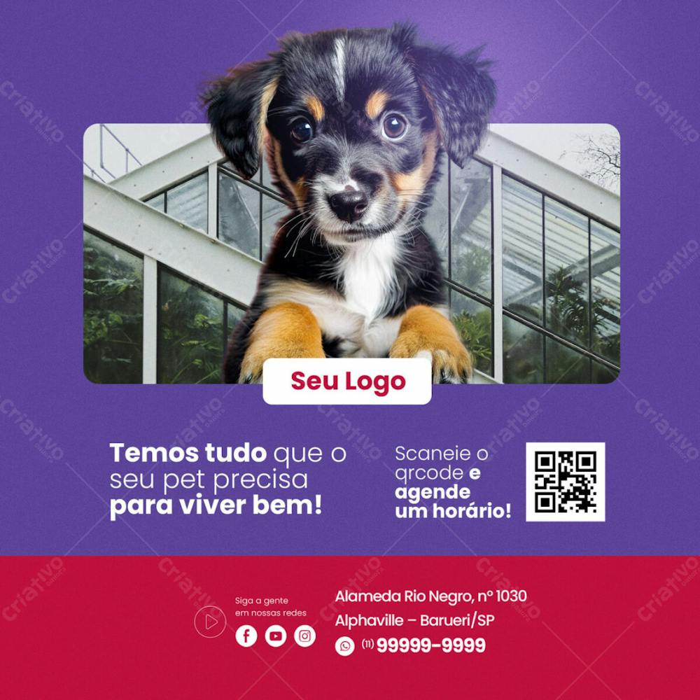 Pet Shop Temos Tudo Que Seu Pet Precisa