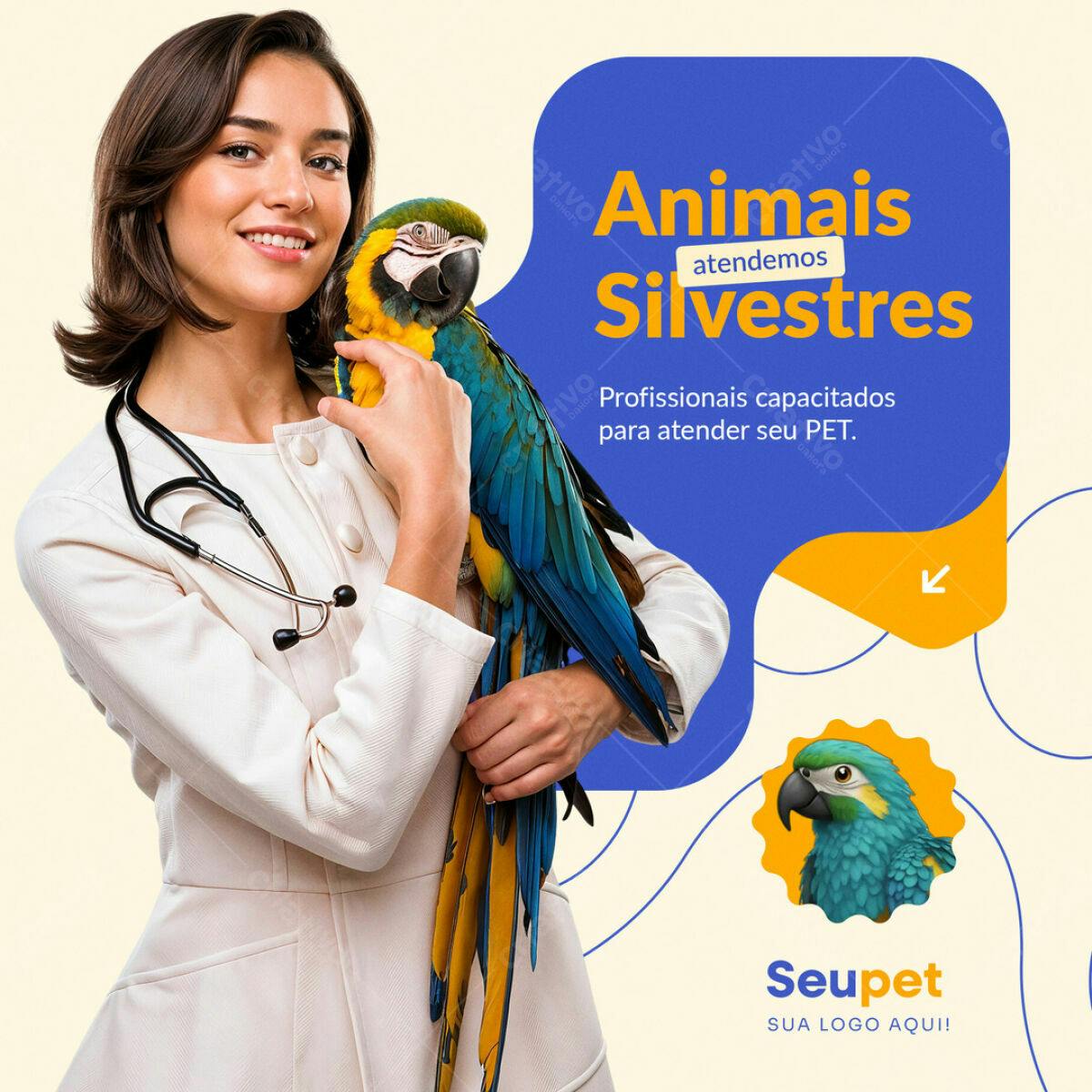 Post para Veterinário com Arara Azul PSD Editável