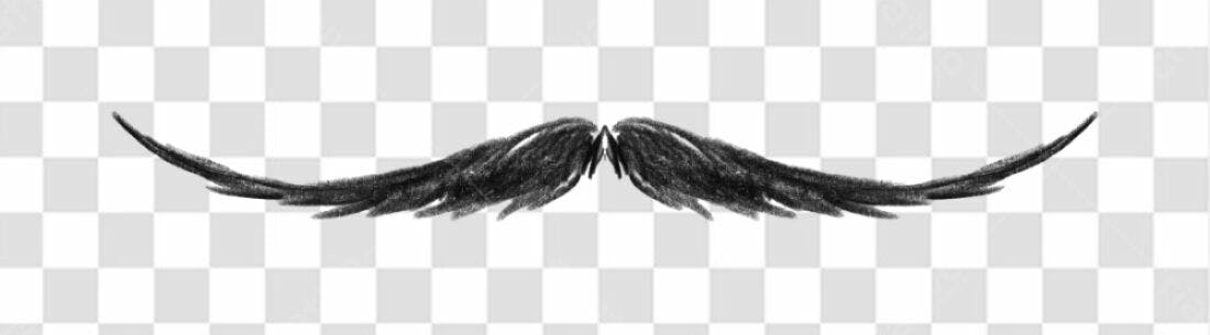 Elemento PNG Bigode Masculino Preto com fundo transparente