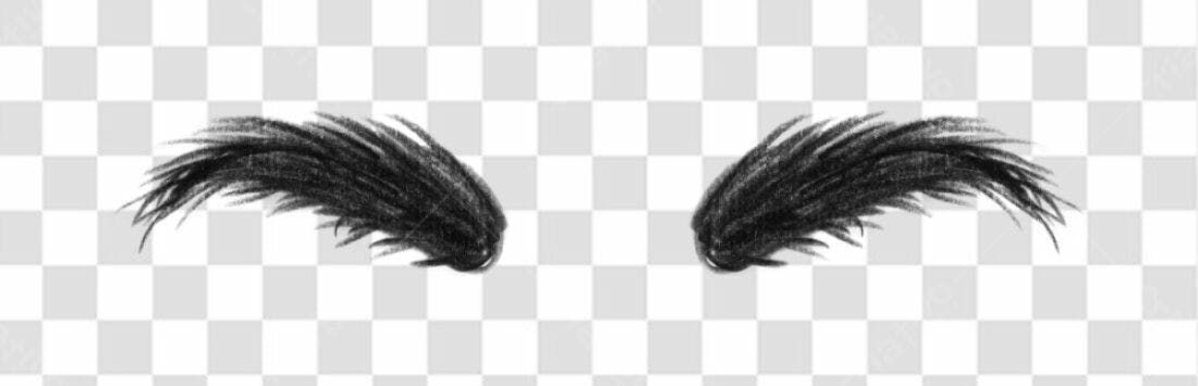 PNG Sobrancelhas estilo pena pretas com fundo transparente