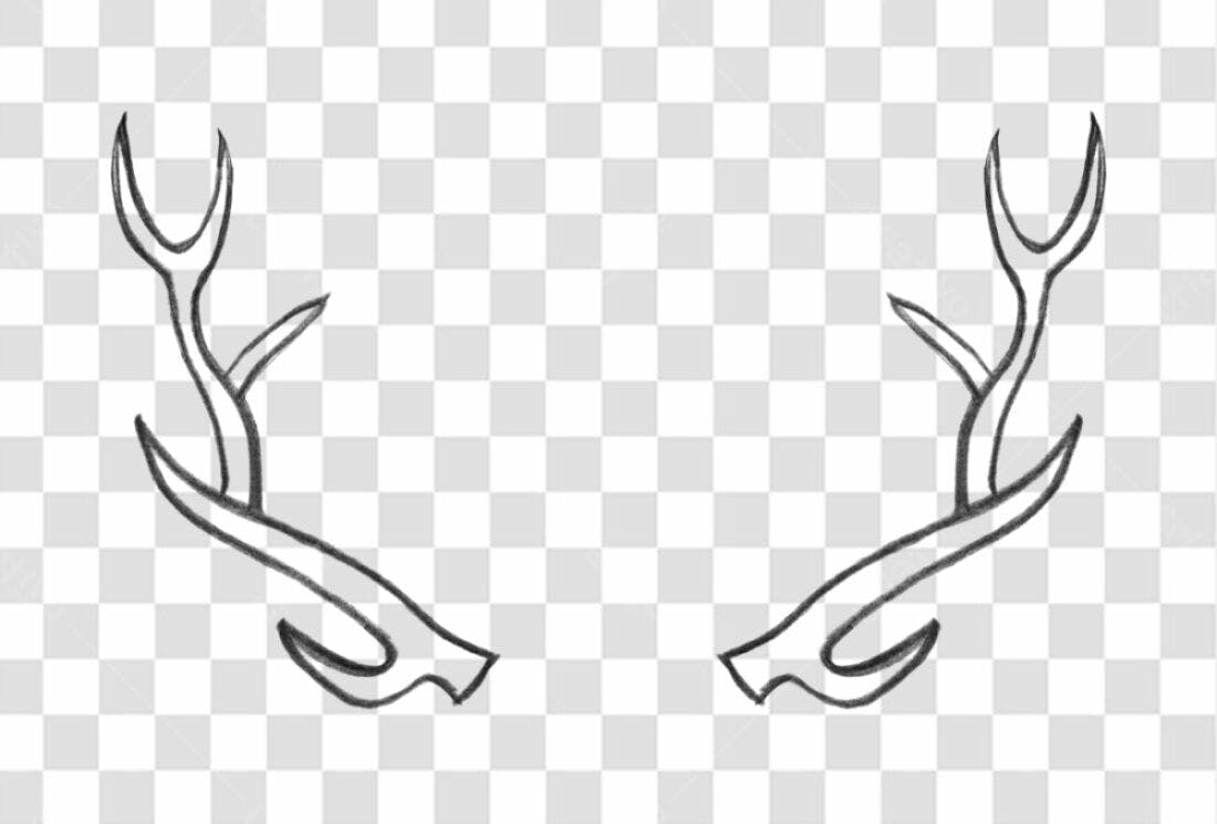 Logo PNG com fundo transparente Chifres de veado