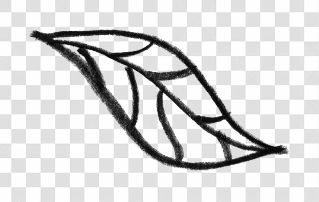 Elemento gráfico Folha PNG com fundo transparente
