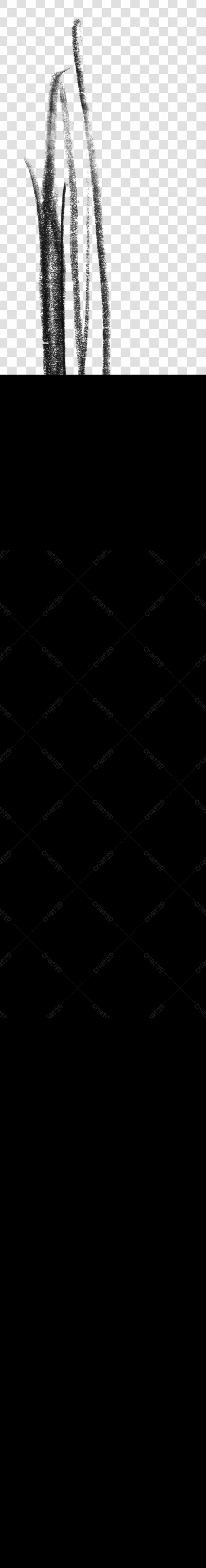 Elementos gráficos PNG com fundo transparente