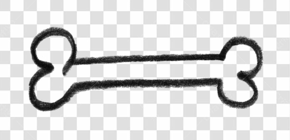 Icone Osso Desenho PNG com fundo transparente