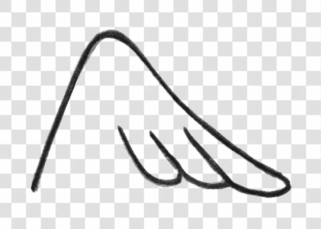 Ilustração Asa PNG com fundo transparente