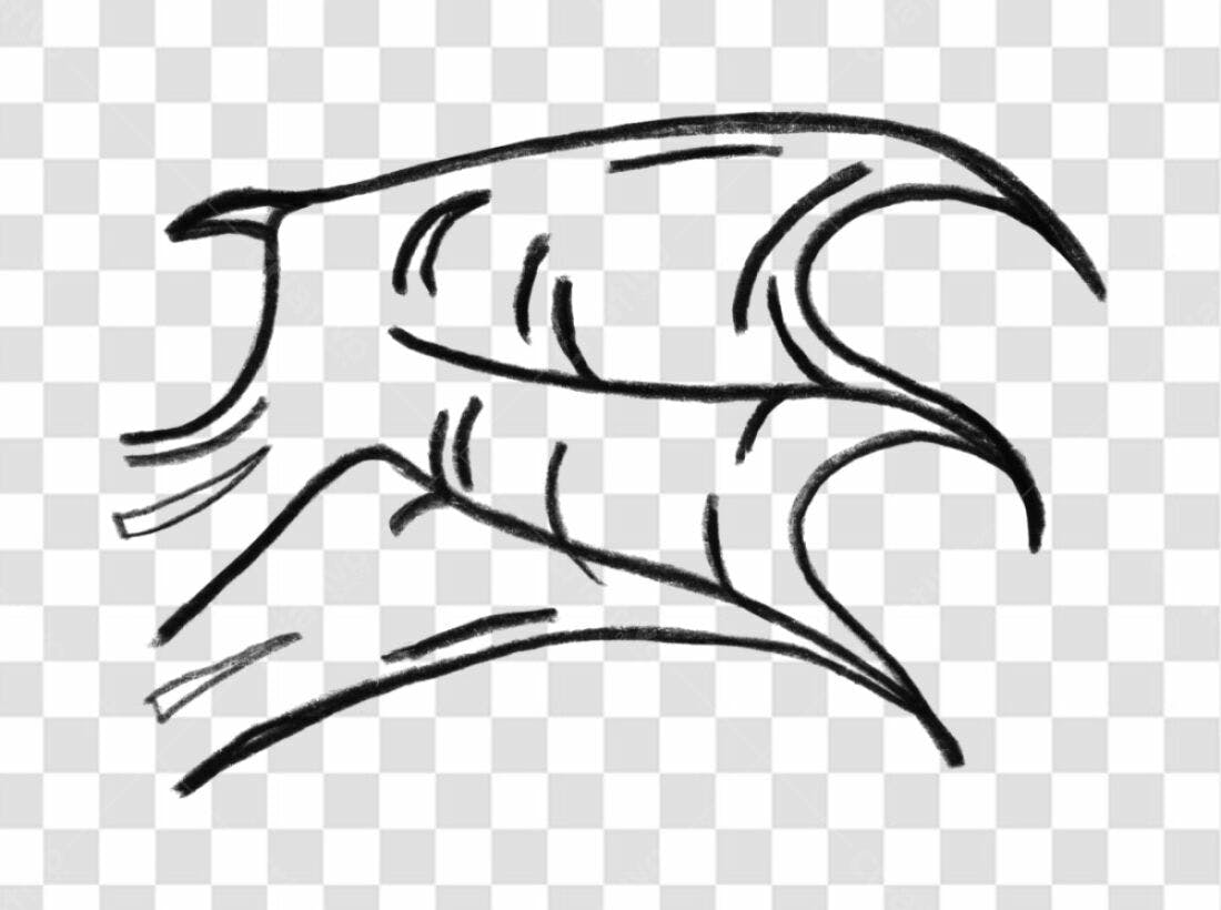 Logo PNG com fundo transparente estilo garra