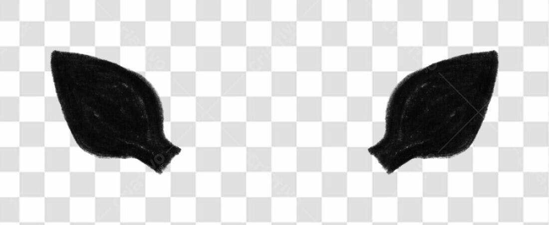 Elementos para Halloween PNG com fundo transparente