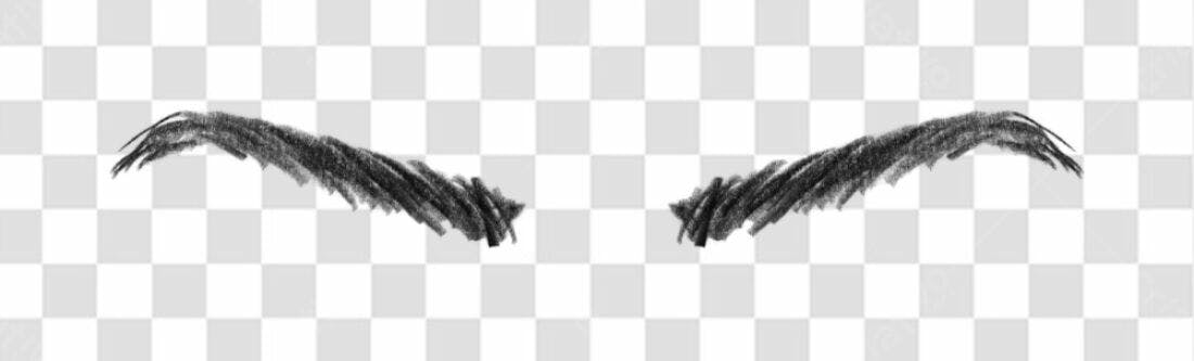 PNG Sobrancelhas para Design de Beleza com fundo transparente