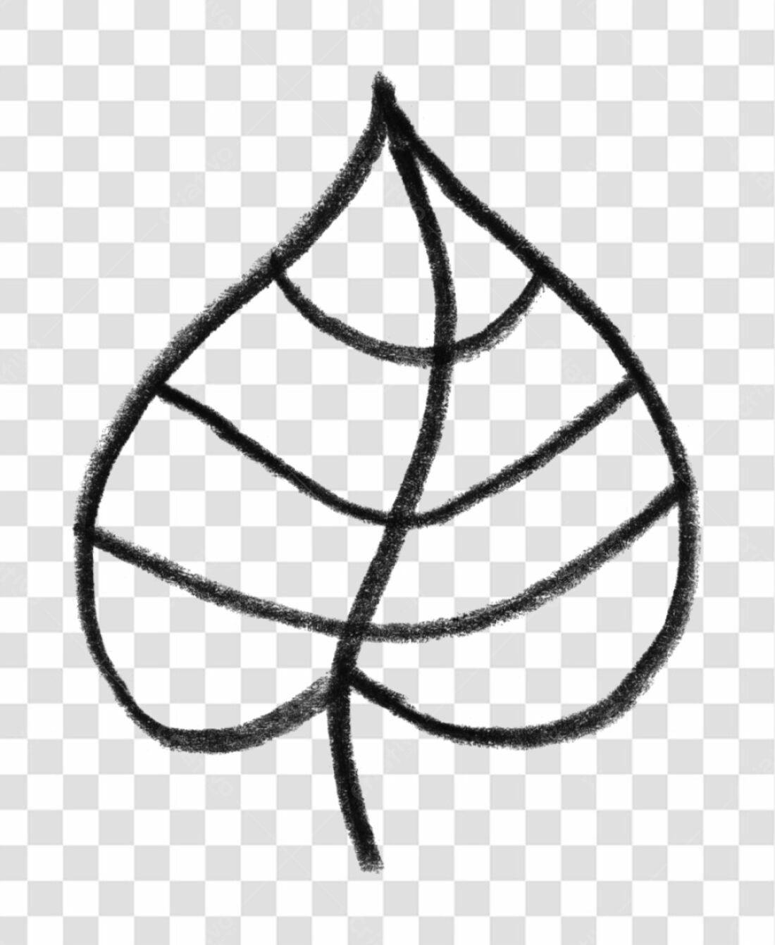 Ilustração Folha PNG com fundo transparente