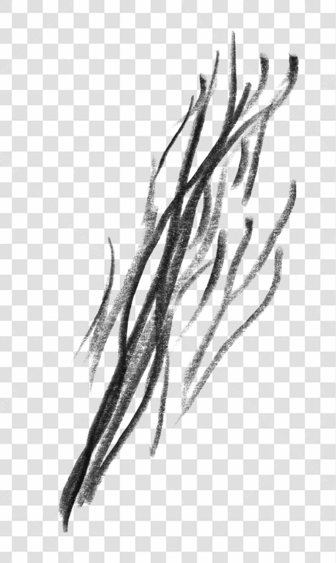 Elemento decorativo PNG com fundo transparente