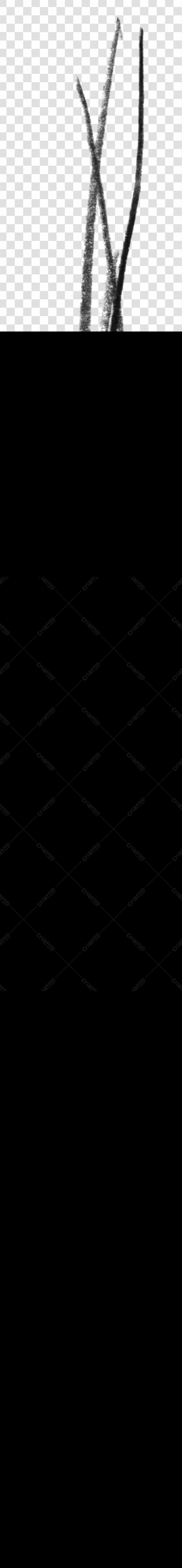 Elementos gráficos abstratos PNG com fundo transparente