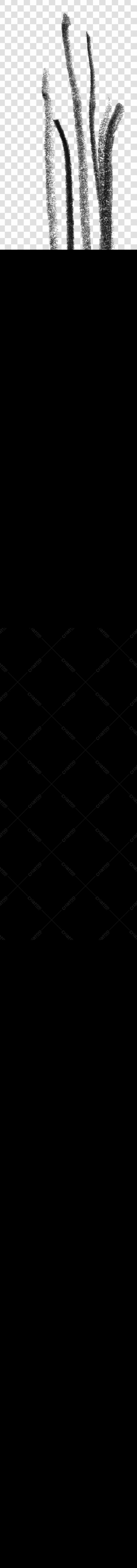 Elemento decorativo PNG com fundo transparente