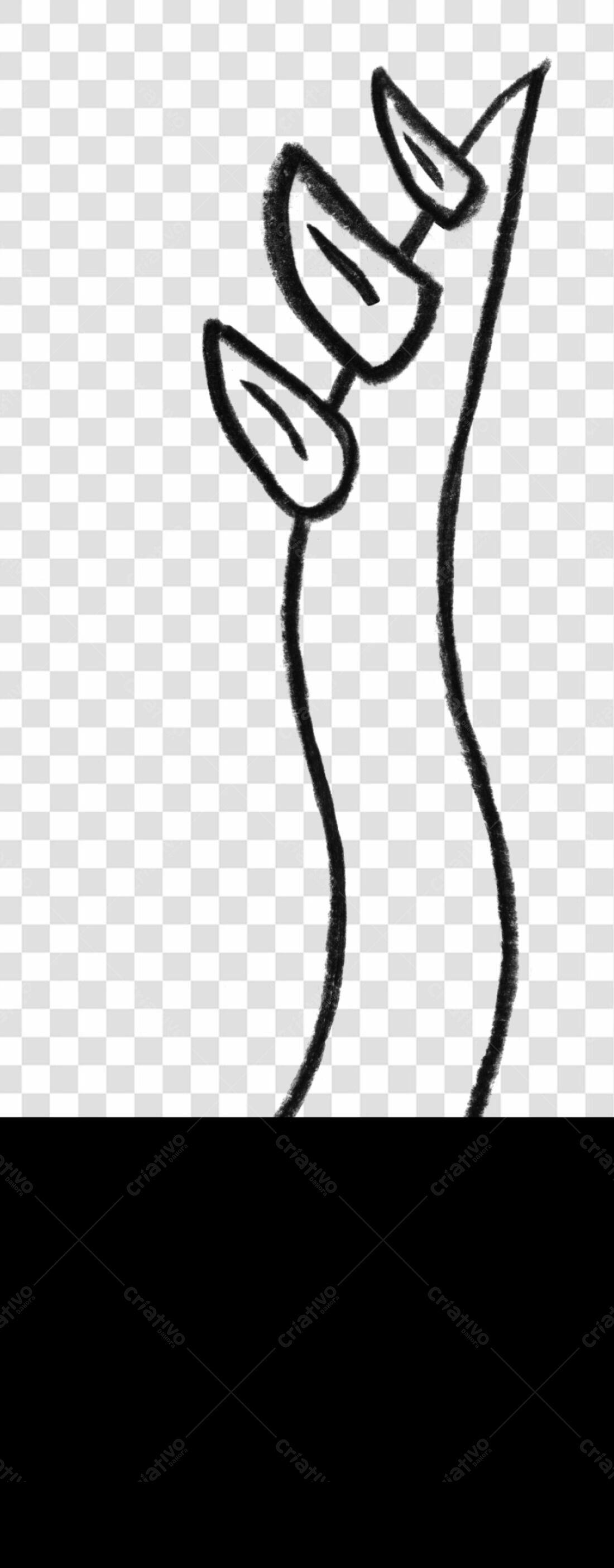 Elemento decorativo PNG com fundo transparente