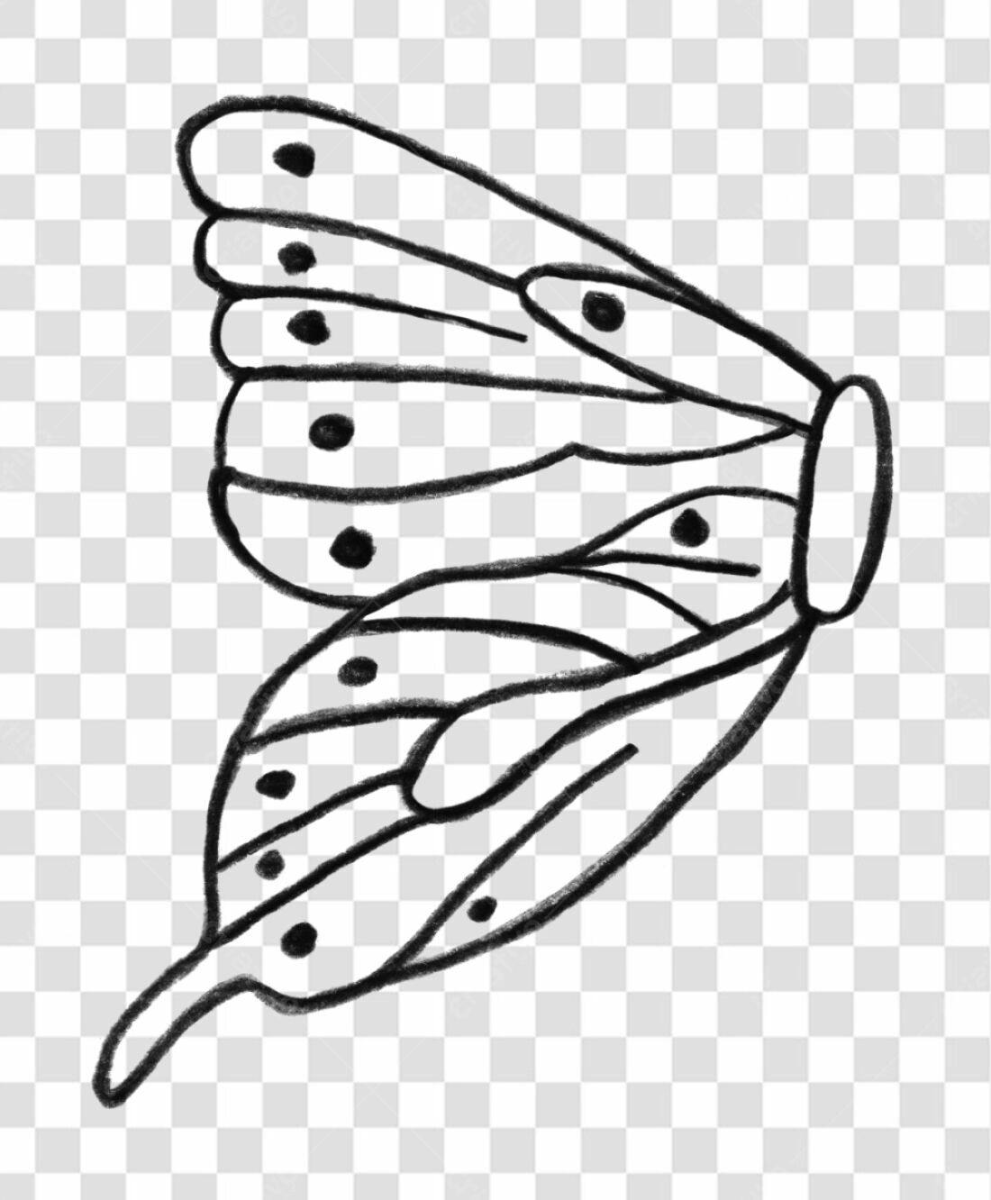 Ilustração Asa de Borboleta PNG com fundo transparente