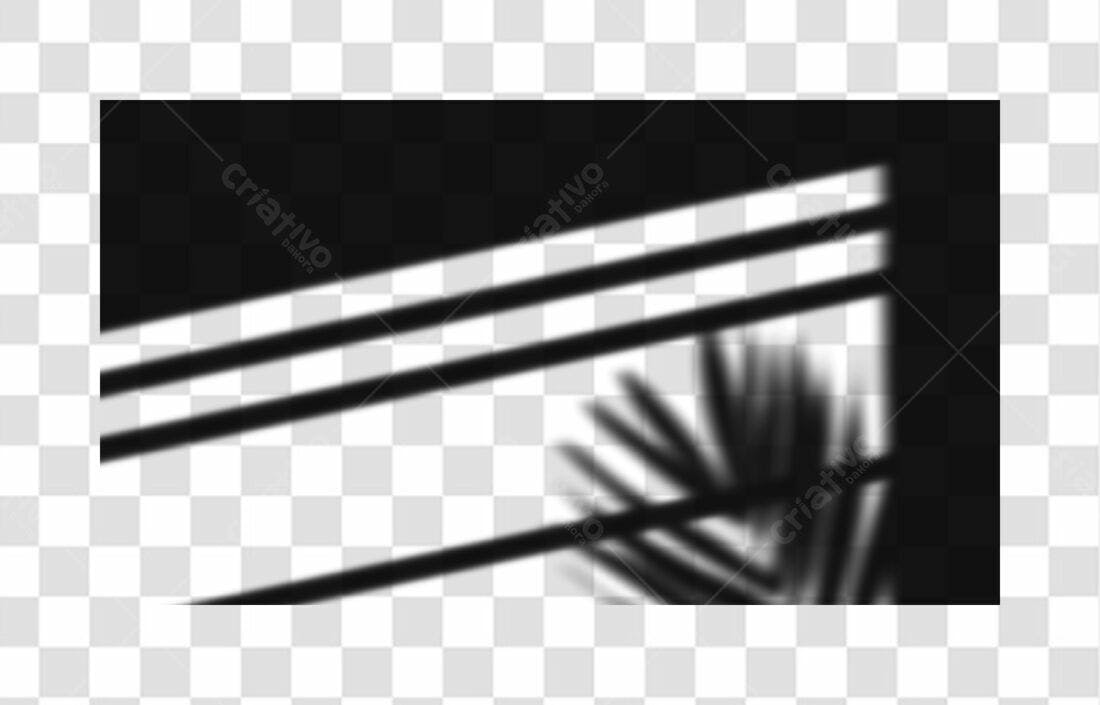Banner sombras folhas PNG com fundo transparente