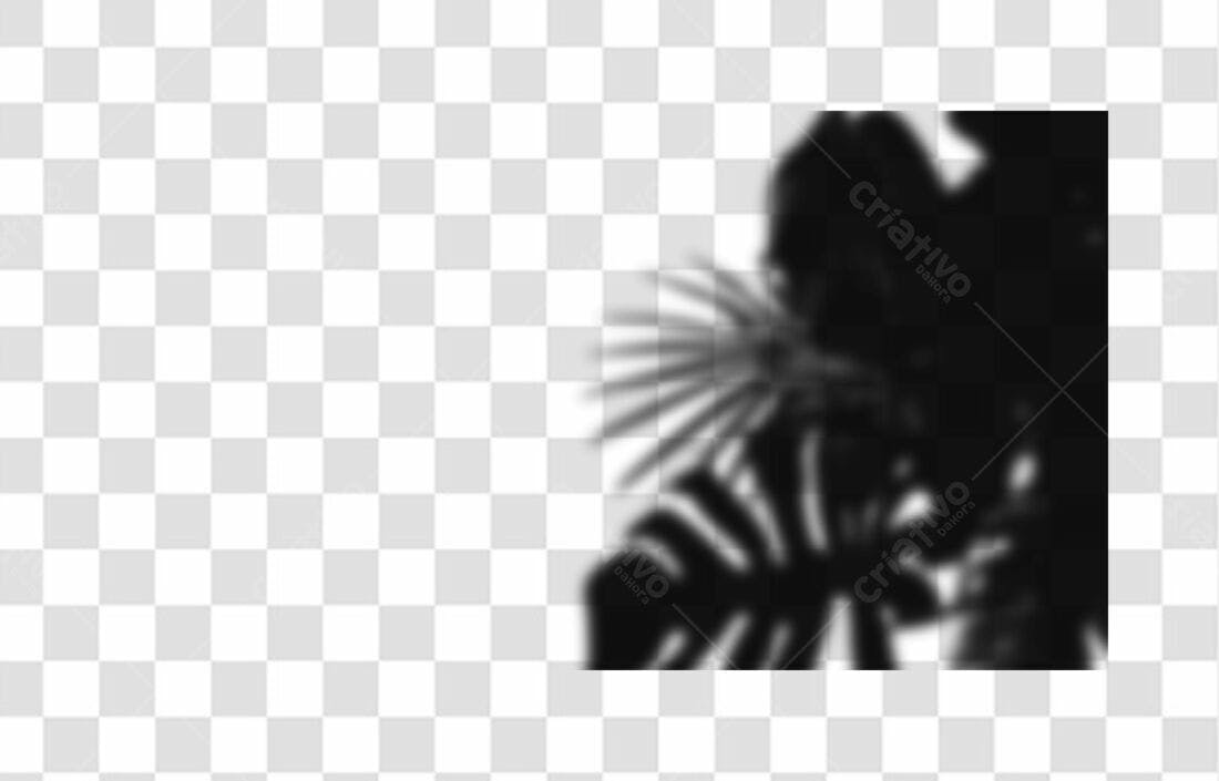 Banner com sombra de folha PNG com fundo transparente