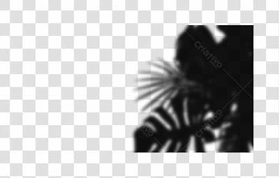 Shadow Overlays Transparent Png 8K High Resolution