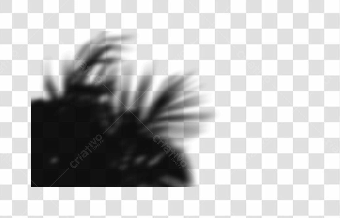 Sobreposição PNG com fundo transparente sombras folhas tropicais