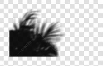 Shadow Overlays Transparent Png 8K High Resolution