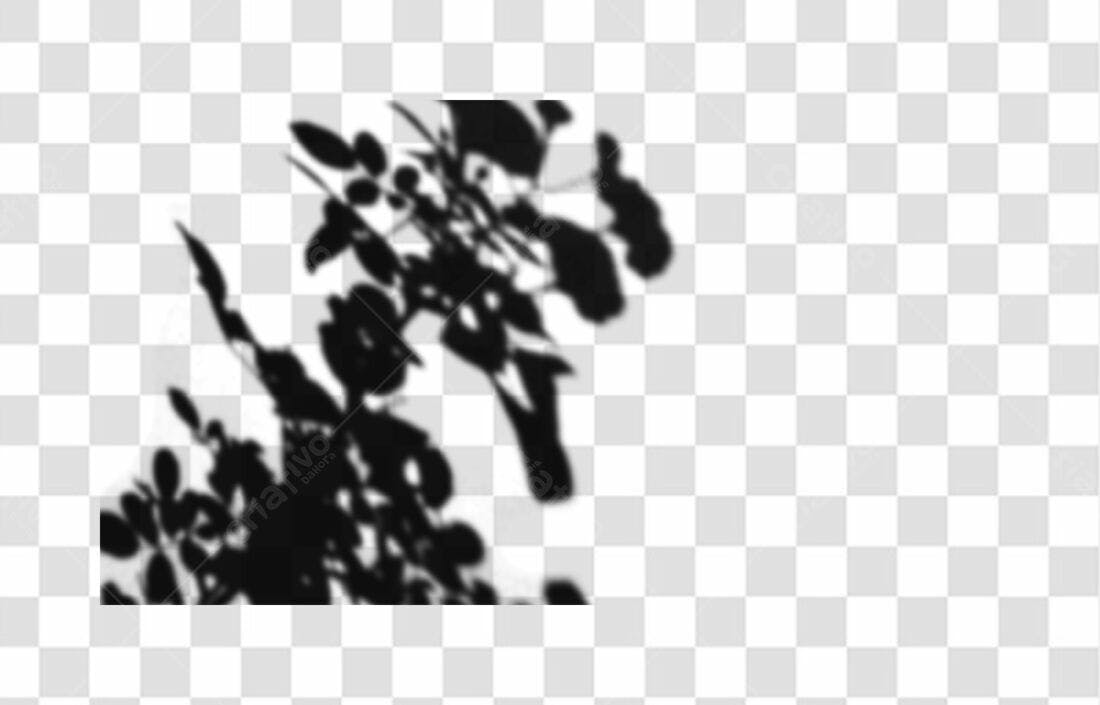 Overlay PNG com fundo transparente sombras folhas