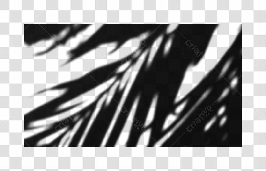 Banner Sombra Folha PNG com fundo transparente