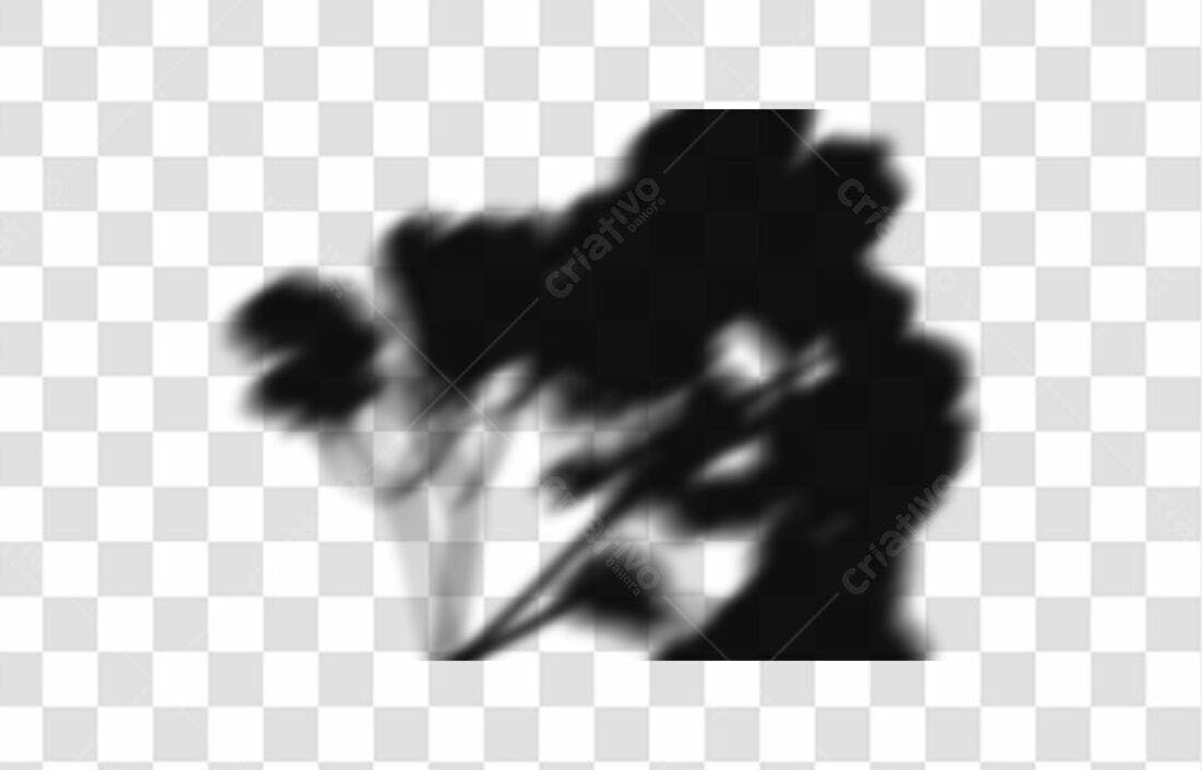 PNG Sobreposição Sombra Folhagem para Design