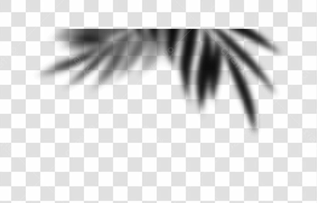Banner sombra de folhas PNG com fundo transparente