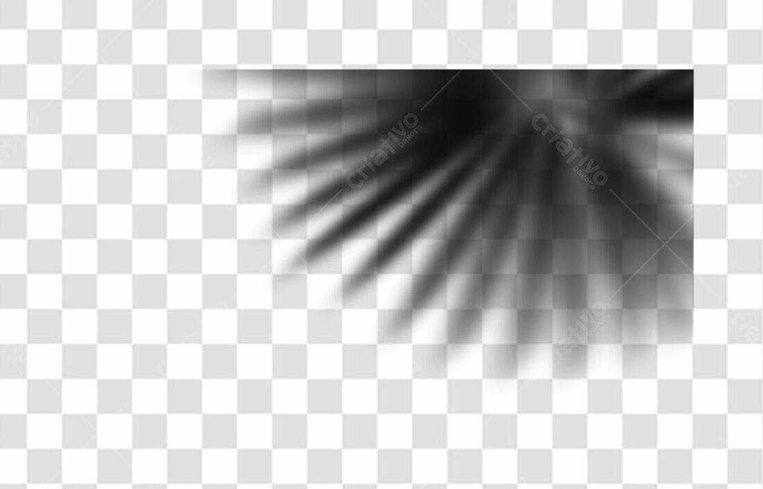 Banner sombra folha PNG com fundo transparente